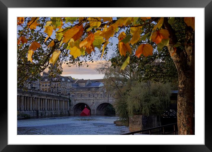 Pulteney Bridge and weir Autumn with sinking houses Framed Mounted Print by Duncan Savidge