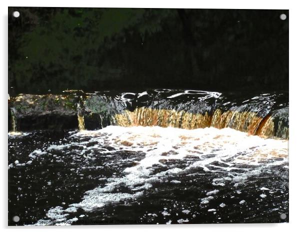 Waterfall Acrylic by Stephanie Moore