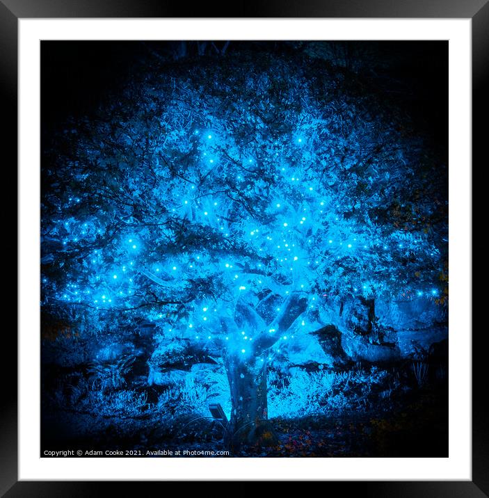 Illuminated Blue Tree | Hever Castle Framed Mounted Print by Adam Cooke