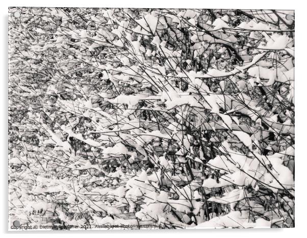 Twigs and Snow Abstract Acrylic by Dietmar Rauscher