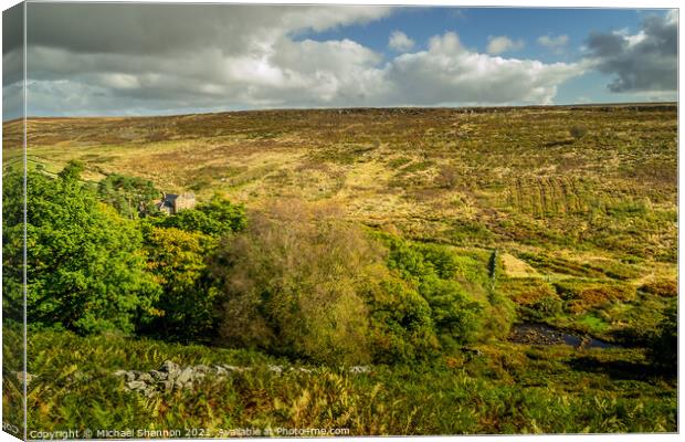 Wheelgate, North Yorkshire Moors Canvas Print by Michael Shannon