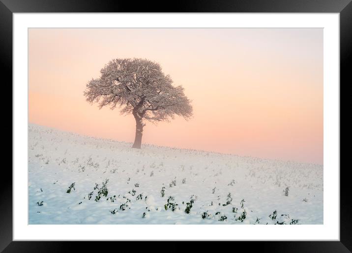 A Perfect Morning Framed Mounted Print by David Semmens