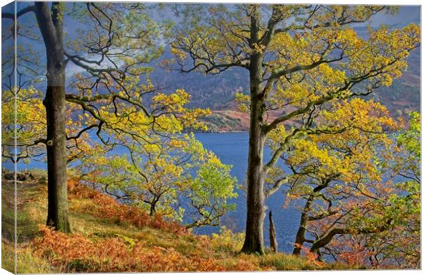 Autumn Trees on the shores of Ullswater Lake Canvas Print by Martyn Arnold
