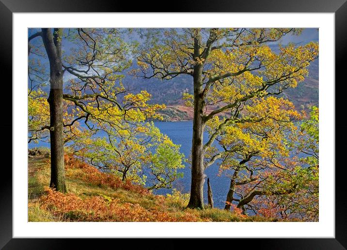 Autumn Trees on the shores of Ullswater Lake Framed Mounted Print by Martyn Arnold