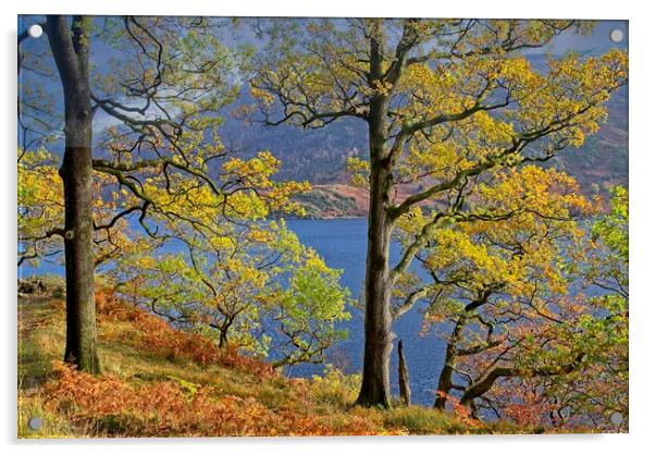 Autumn Trees on the shores of Ullswater Lake Acrylic by Martyn Arnold