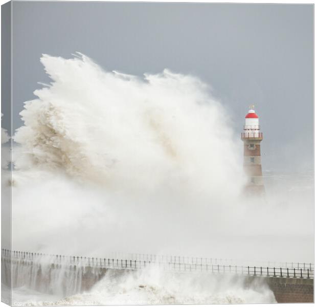 Storm at Roker Lighthouse Canvas Print by Gary Clarricoates