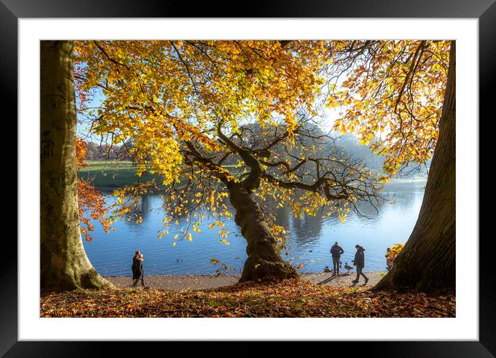 Colour of Autumn Framed Mounted Print by Kevin Elias