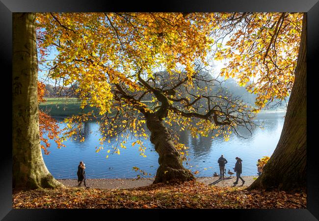 Colour of Autumn Framed Print by Kevin Elias