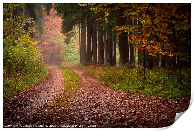 Autumn forest pathway Print by James Mc Quarrie