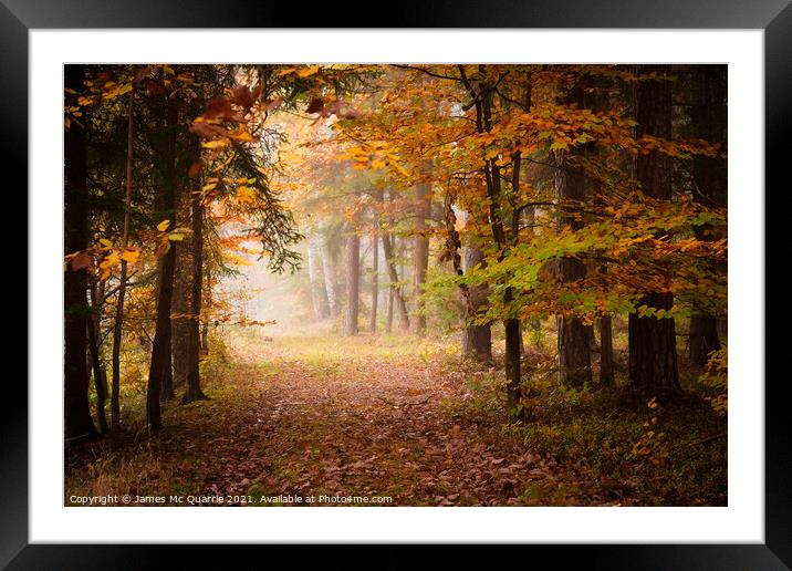 Autumn forest pathway Framed Mounted Print by James Mc Quarrie