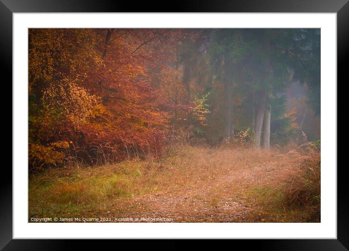 Autumn forest landscape Framed Mounted Print by James Mc Quarrie