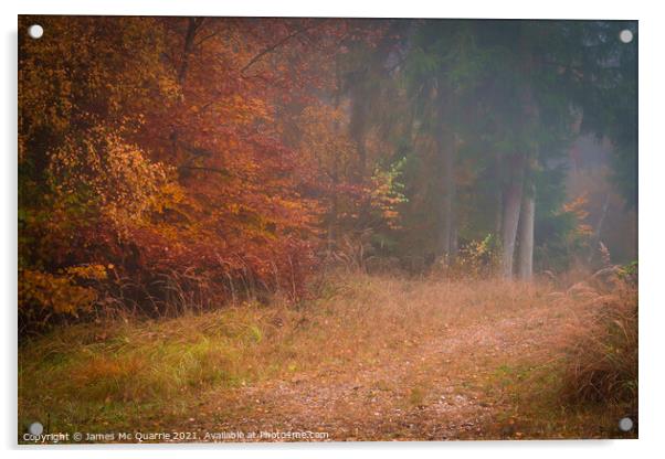 Autumn forest landscape Acrylic by James Mc Quarrie