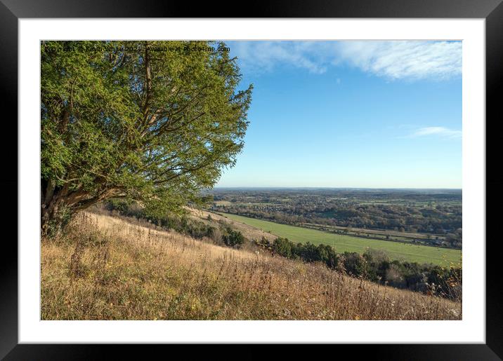 Box Hill late November walk Framed Mounted Print by Kevin White
