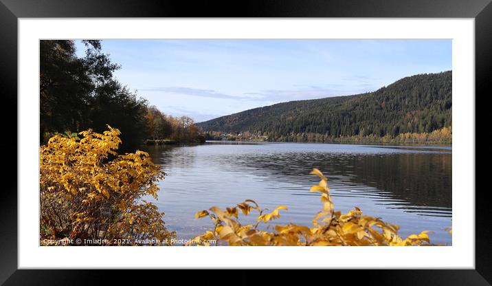 Lake of Gerardmer, Autumn in Vosges, France Framed Mounted Print by Imladris 