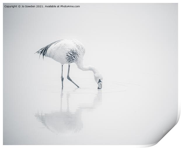 Flamingo in Mono Print by Jo Sowden