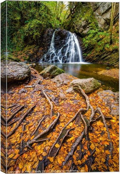 Waterfall at Fairy Glen, Rosemarkie Canvas Print by Peter O'Reilly