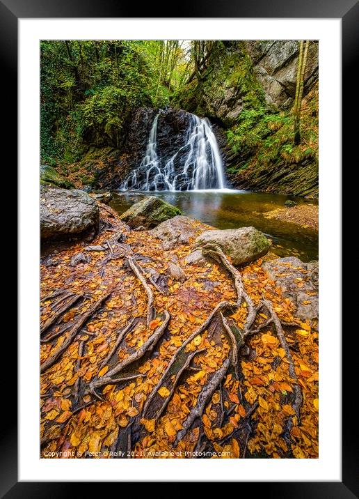 Waterfall at Fairy Glen, Rosemarkie Framed Mounted Print by Peter O'Reilly