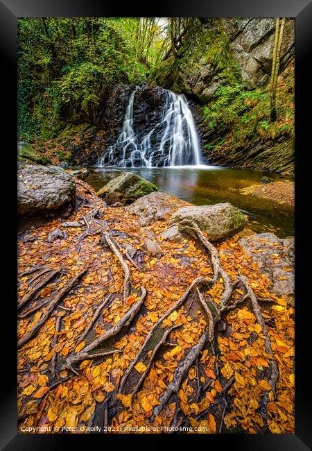 Waterfall at Fairy Glen, Rosemarkie Framed Print by Peter O'Reilly
