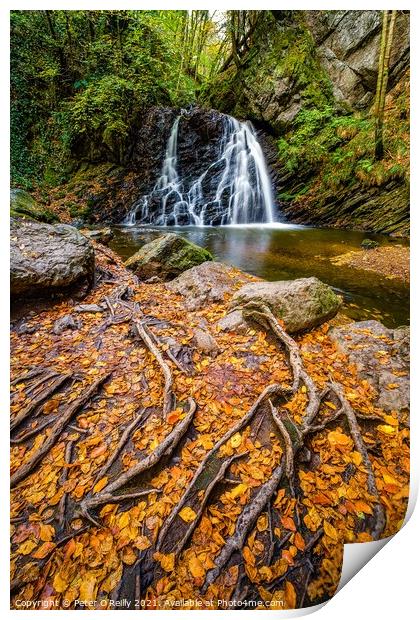 Waterfall at Fairy Glen, Rosemarkie Print by Peter O'Reilly