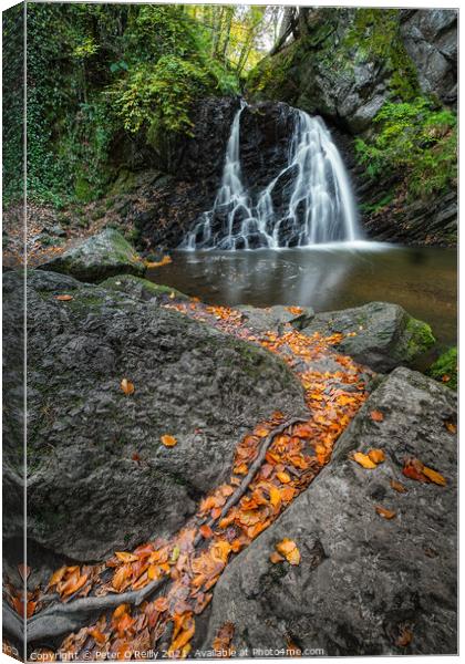 Waterfall at Fairy Glen, Rosemarkie Canvas Print by Peter O'Reilly