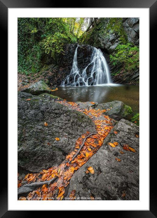 Waterfall at Fairy Glen, Rosemarkie Framed Mounted Print by Peter O'Reilly