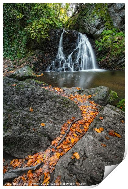 Waterfall at Fairy Glen, Rosemarkie Print by Peter O'Reilly