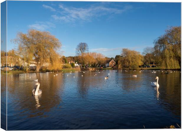 West End Pond Canvas Print by Clive Eariss