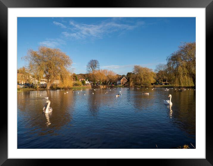 West End Pond Framed Mounted Print by Clive Eariss