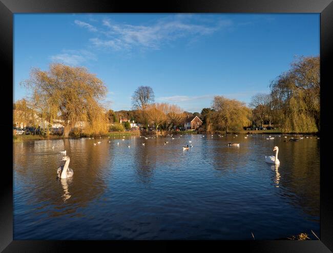 West End Pond Framed Print by Clive Eariss