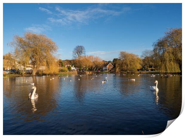 West End Pond Print by Clive Eariss