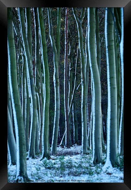 Fosted tree trunks Framed Print by Simon Johnson