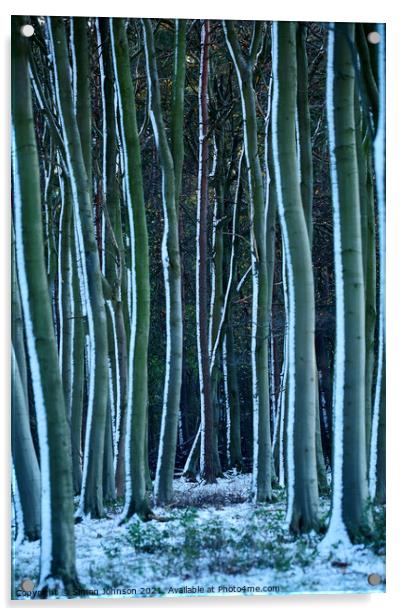 Fosted tree trunks Acrylic by Simon Johnson