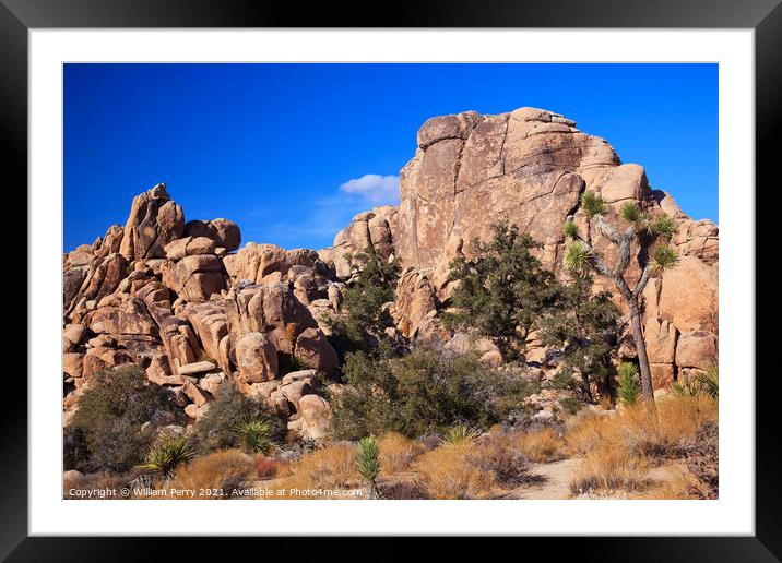 Hidden Valley Rock Yucca  Brevifolia Mojave Desert Joshua Tree N Framed Mounted Print by William Perry