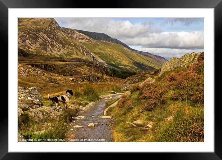 Cwm Idwal North Wales Framed Mounted Print by Jenny Hibbert