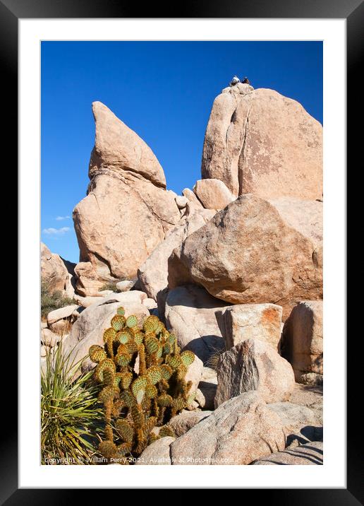 Rock Climb Hidden Valley Joshua Tree National Park California Framed Mounted Print by William Perry