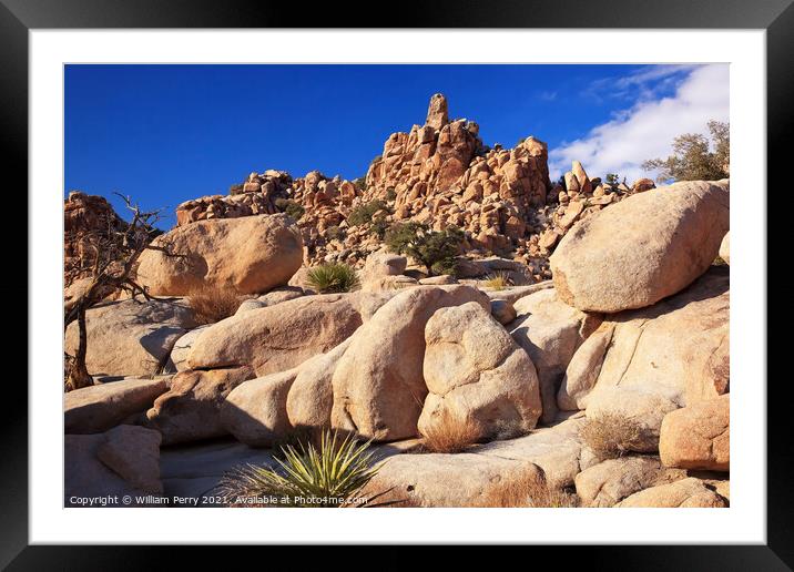 Rocks Hidden Valley Mojave Desert Joshua Tree National Park Cali Framed Mounted Print by William Perry