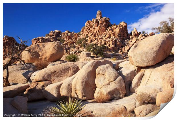 Rocks Hidden Valley Mojave Desert Joshua Tree National Park Cali Print by William Perry