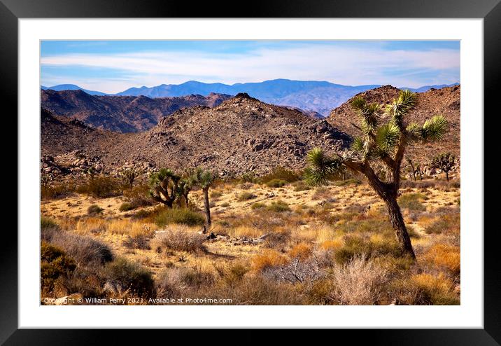 Yucca  Brevifolia Mountains Mojave Desert Joshua Tree National P Framed Mounted Print by William Perry