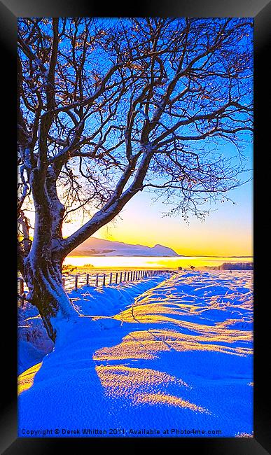 Winter Dawn Framed Print by Derek Whitton