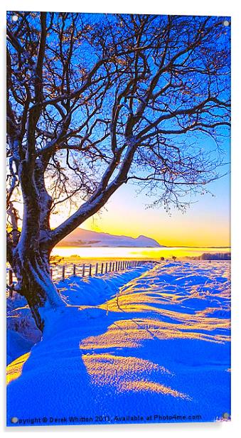 Winter Dawn Acrylic by Derek Whitton