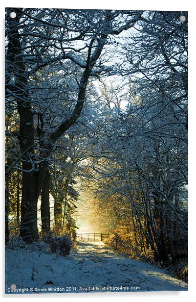 Winter Woodland Acrylic by Derek Whitton