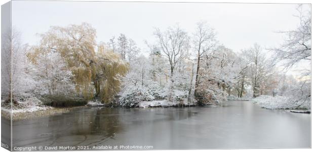 Pond and Trees in Winter Canvas Print by David Morton
