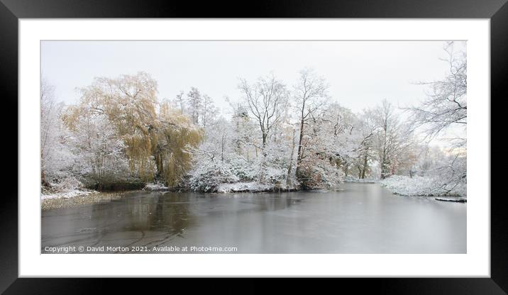Pond and Trees in Winter Framed Mounted Print by David Morton