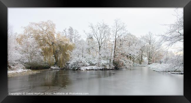 Pond and Trees in Winter Framed Print by David Morton