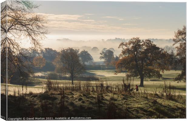 Autumn Mist on Tarporley Golf Course Canvas Print by David Morton