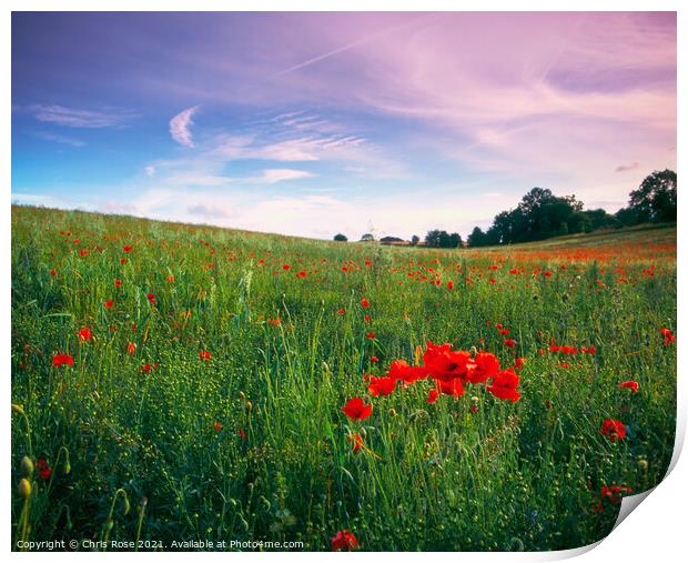 Poppy field Print by Chris Rose