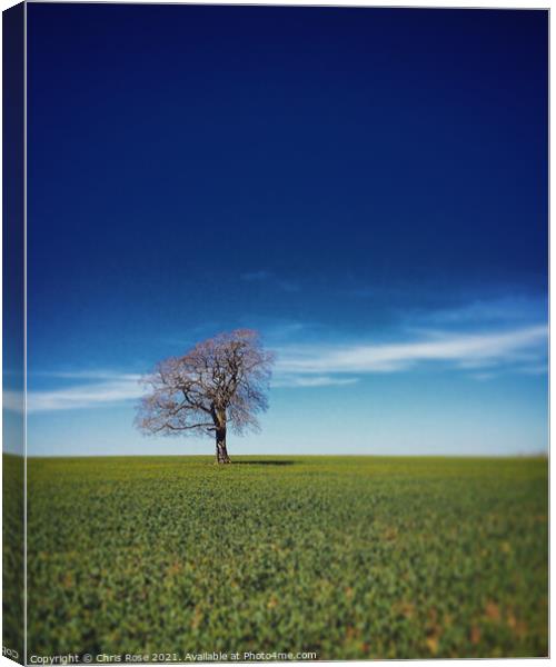 One tree on the horizon Canvas Print by Chris Rose