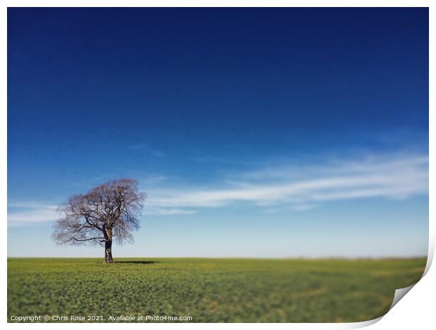One tree on the horizon Print by Chris Rose