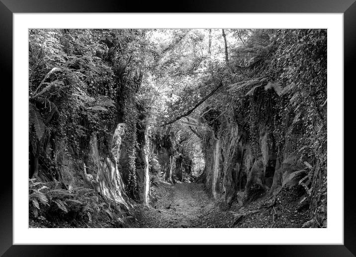 Dorset Hollow-Way Framed Mounted Print by Mark Godden