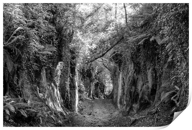 Dorset Hollow-Way Print by Mark Godden